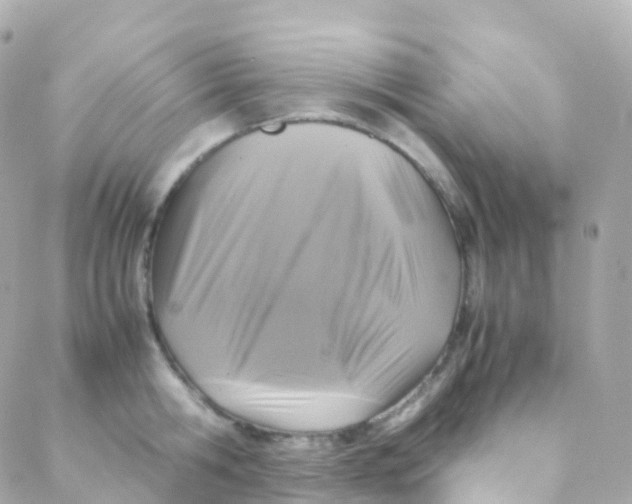 X0000088230806200706051346