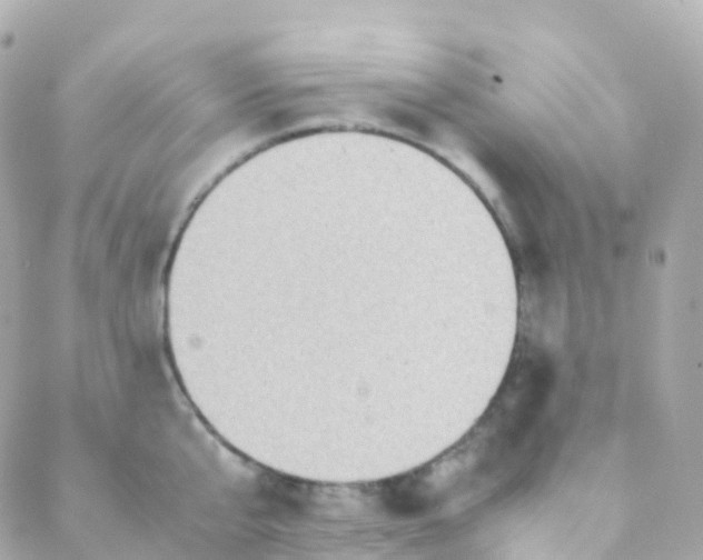 X0000088230807200706051346