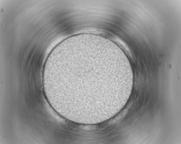 X0000088230808200706051346