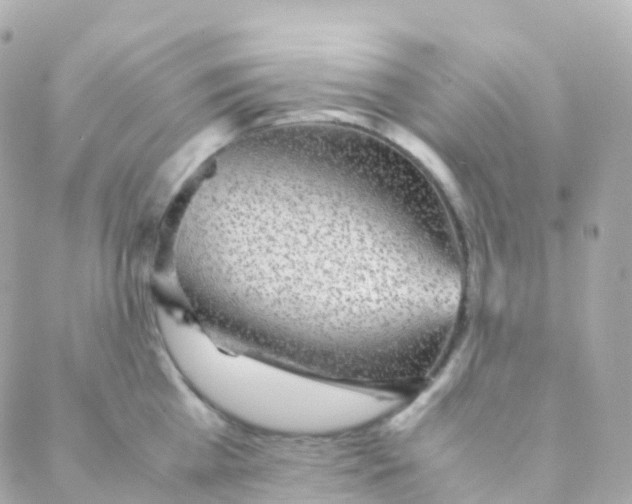 X0000088230809200706051346