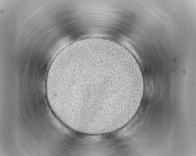 X0000088230810200706051346