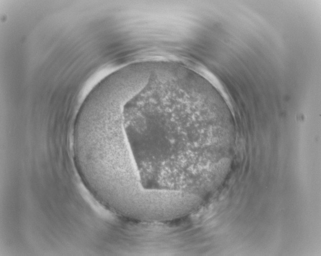 X0000088230811200706051346