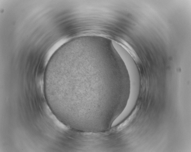 X0000088230812200706051346