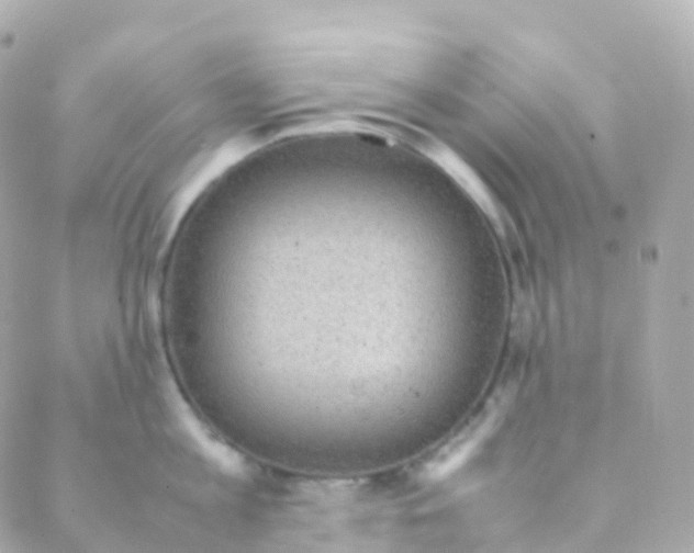 X0000088230813200706051346