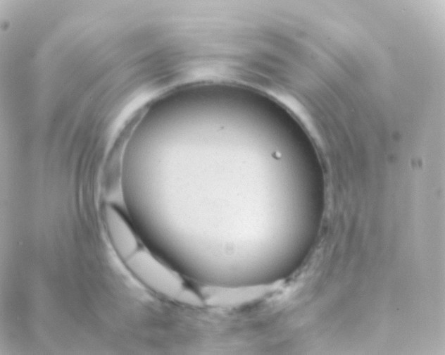 X0000088230815200706051346