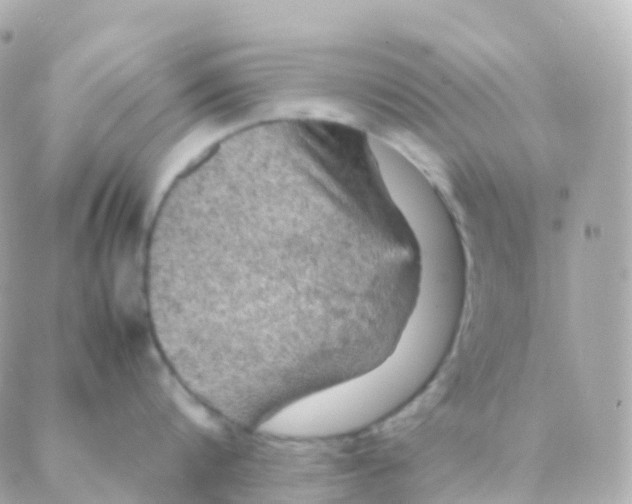 X0000088230816200706051346