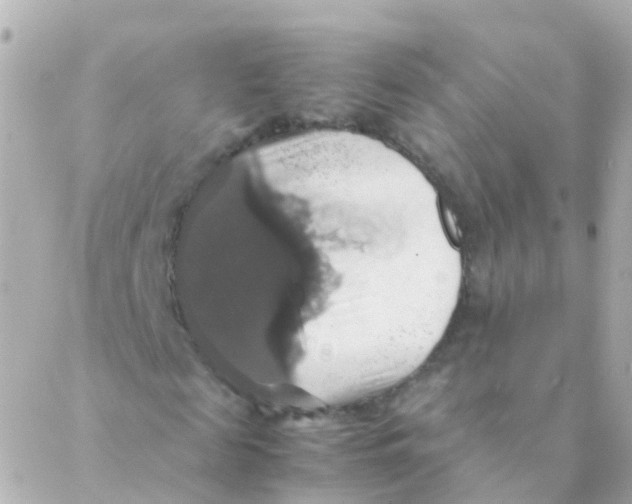 X0000088230817200706051345