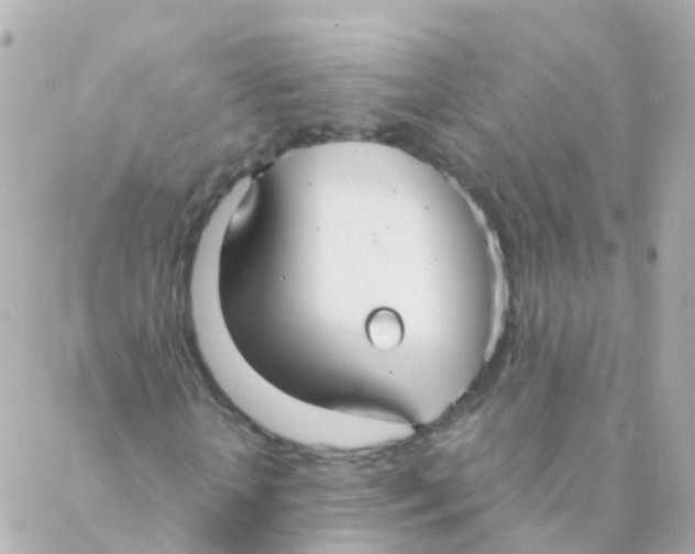 X0000088230818200706051345