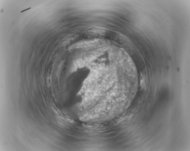 X0000088230819200706051345