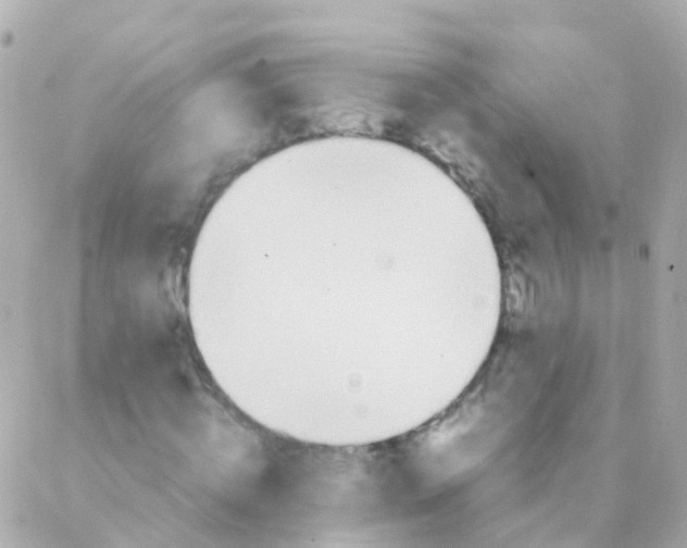 X0000088230820200706051345