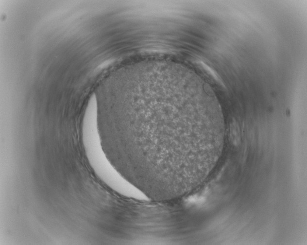 X0000088230821200706051345