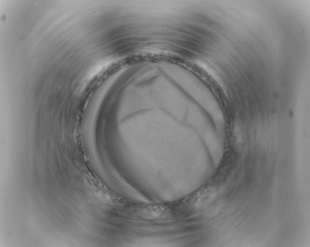 X0000088230823200706051345