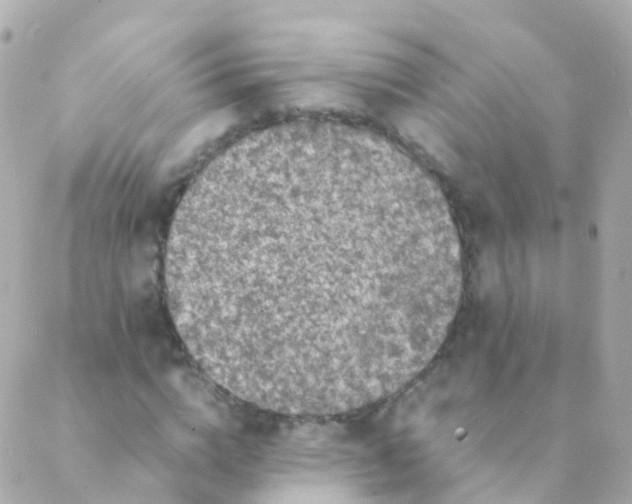 X0000088230824200706051345