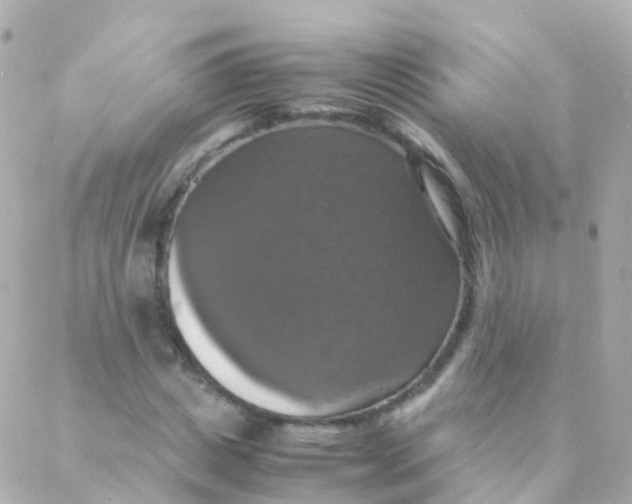 X0000088230825200706051345