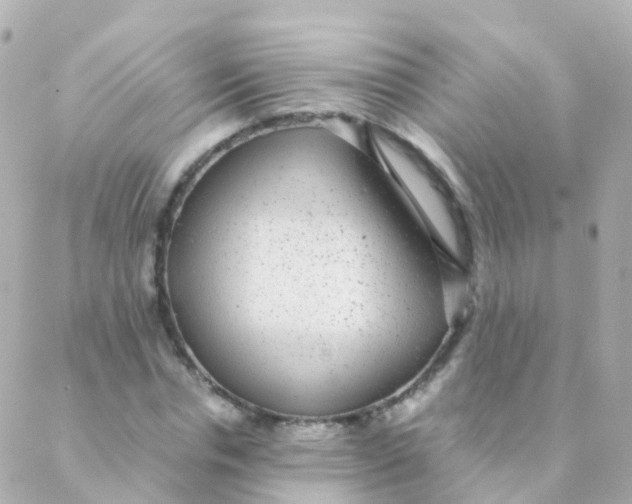 X0000088230826200706051345