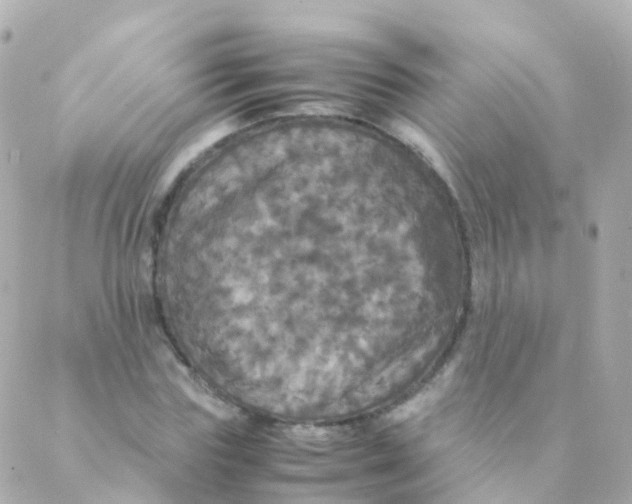 X0000088230827200706051345