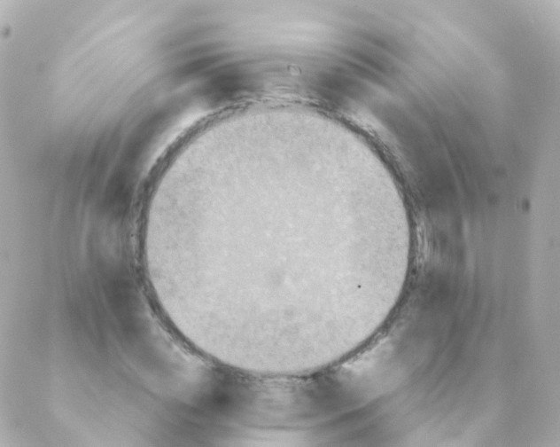 X0000088230828200706051345