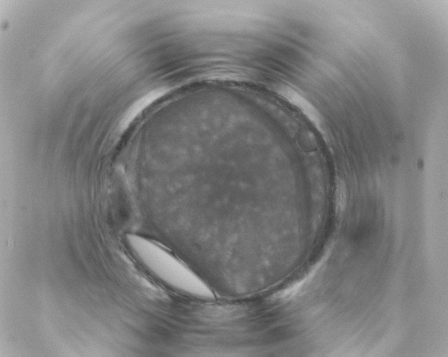 X0000088230829200706051345