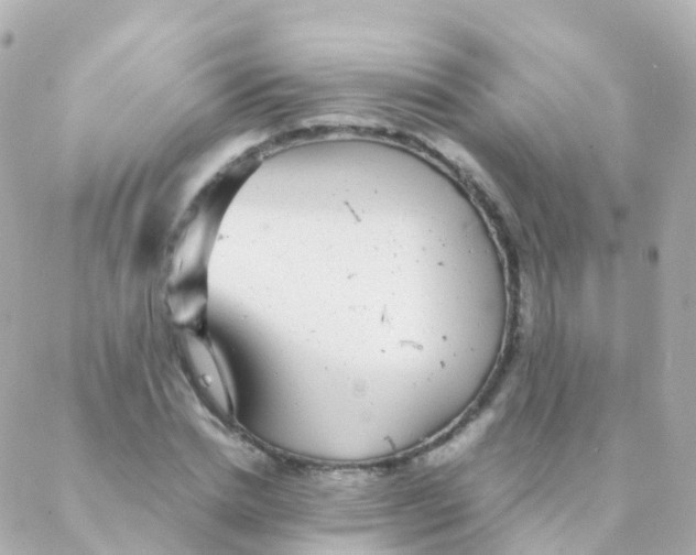 X0000088230830200706051345