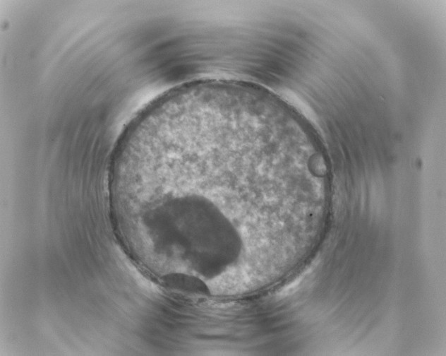 X0000088230831200706051345