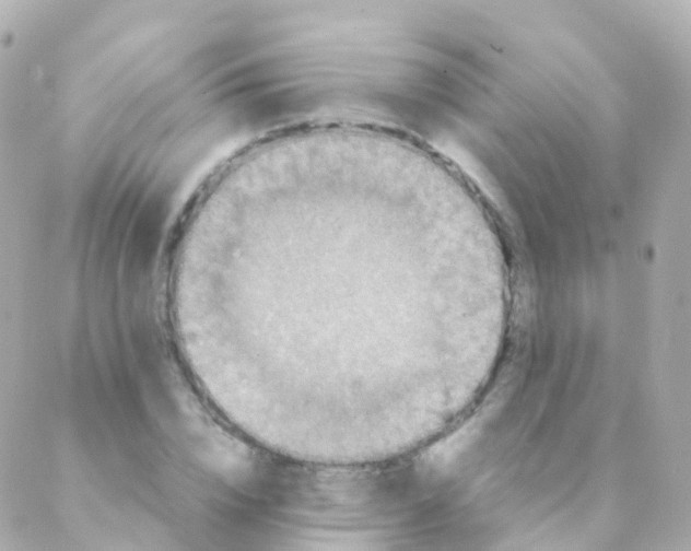 X0000088230832200706051345