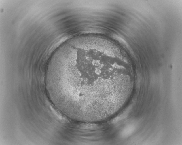 X0000088230833200706051345