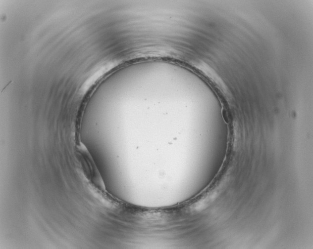 X0000088230834200706051345