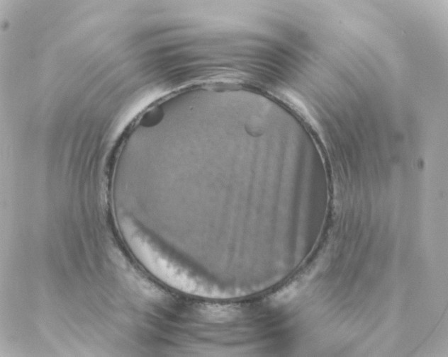 X0000088230835200706051345