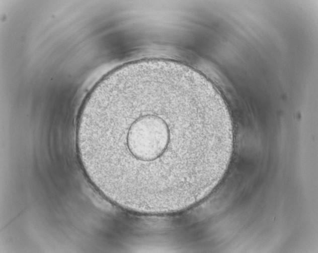 X0000088230836200706051345