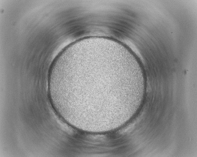 X0000088230837200706051345