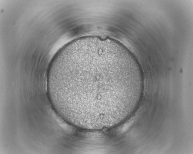 X0000088230838200706051345