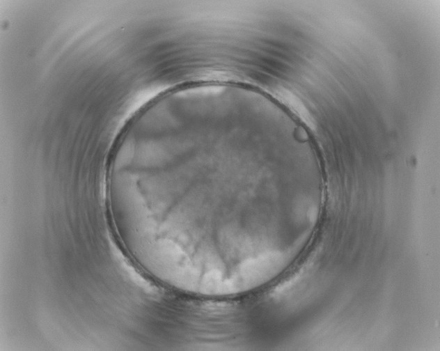 X0000088230839200706051345