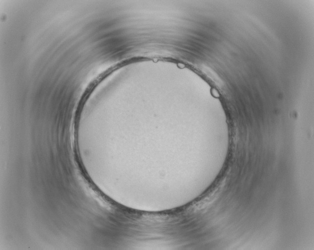 X0000088230840200706051345