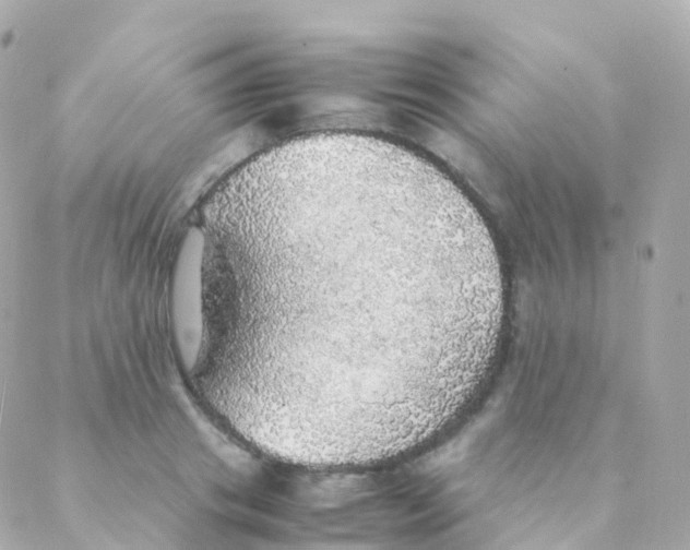 X0000088230841200706051345