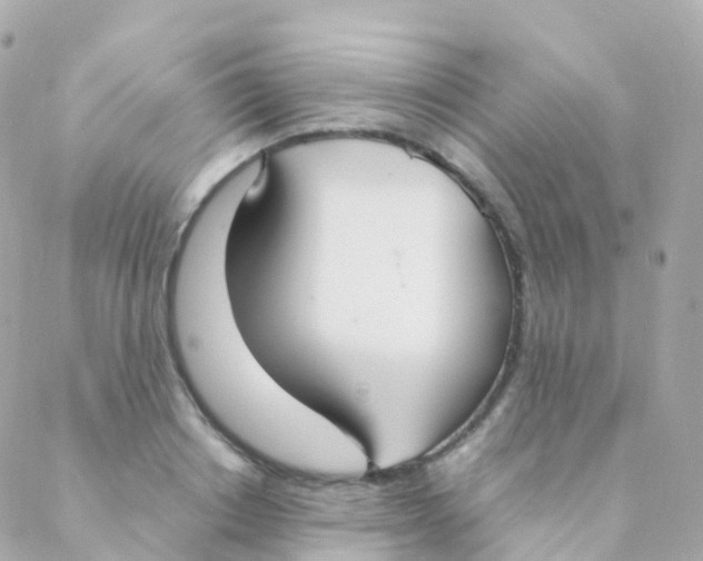 X0000088230842200706051345