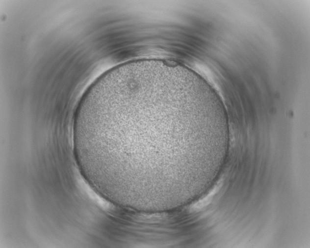 X0000088230843200706051345