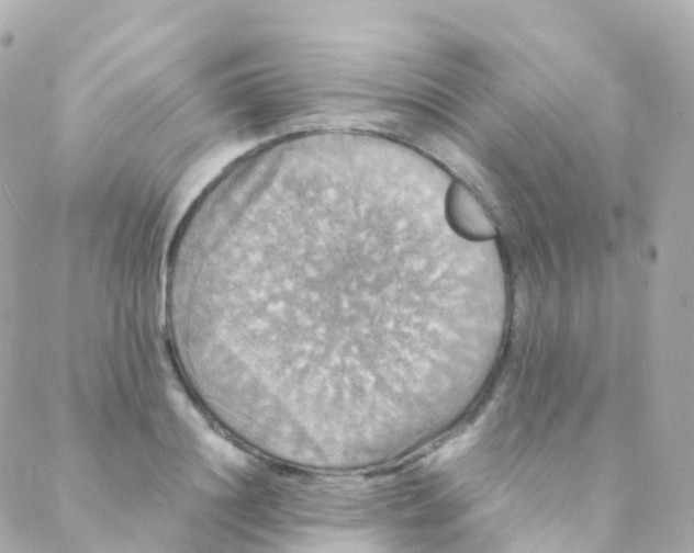 X0000088230844200706051345