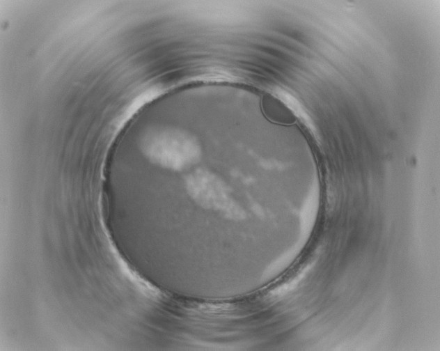 X0000088230845200706051346