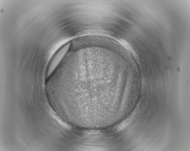 X0000088230846200706051346