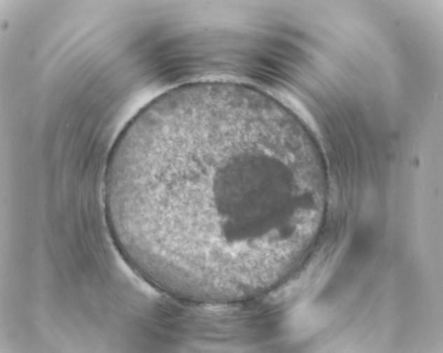 X0000088230847200706051346