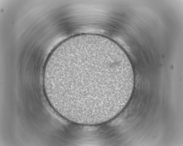 X0000088230848200706051346