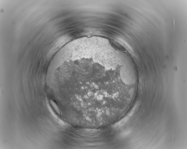 X0000088230849200706051346