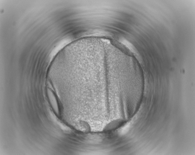 X0000088230850200706051346