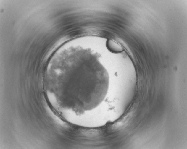 X0000088230851200706051346