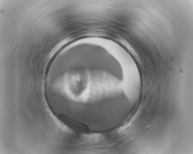 X0000088230853200706051346