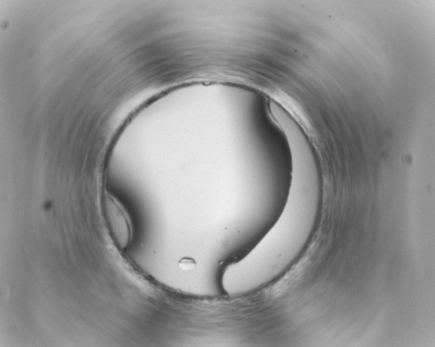 X0000088230854200706051346