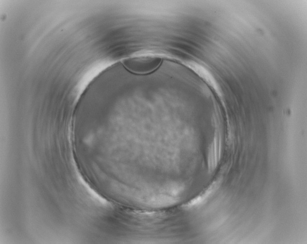 X0000088230855200706051346