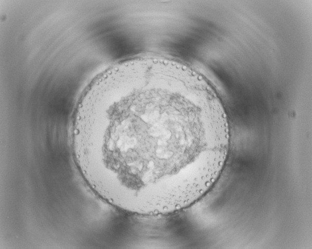 X0000088230856200706051346