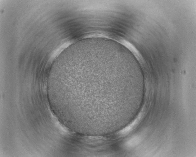 X0000088230857200706051346