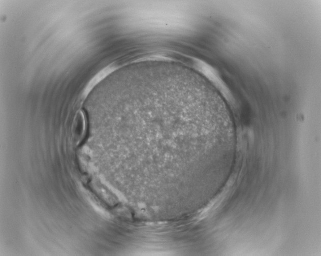 X0000088230858200706051346